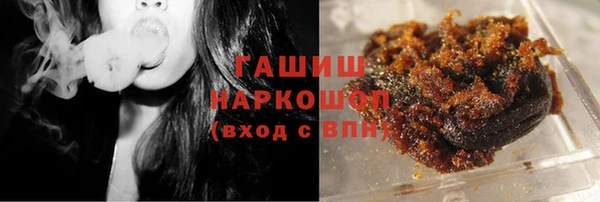 индика Сатка