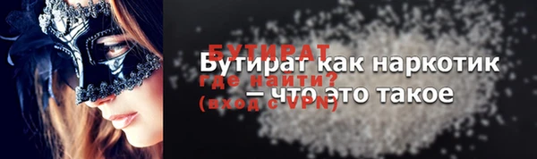 индика Сатка