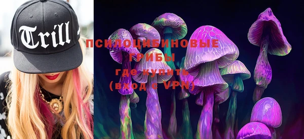 PSILOCYBIN Алексин