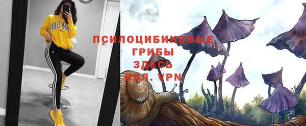 ALPHA-PVP Алексеевка