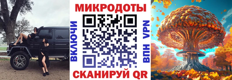 даркнет Telegram Боготол Псилоцибиновые грибы Psilocybine cubensis