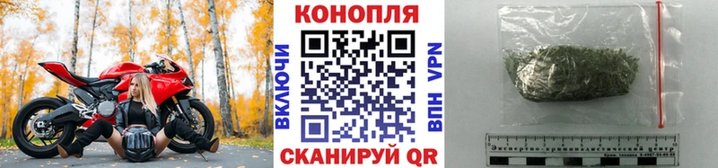 Бошки марихуана Amnesia  Боготол 